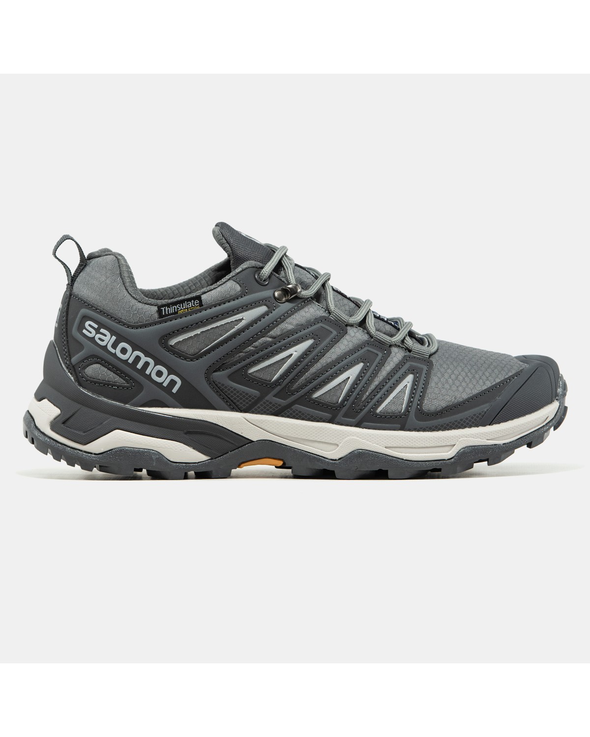Salomon Speed Cross Pro Gore-Tex