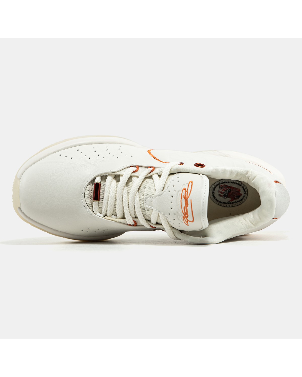 Nike LeBron 21 Akoya