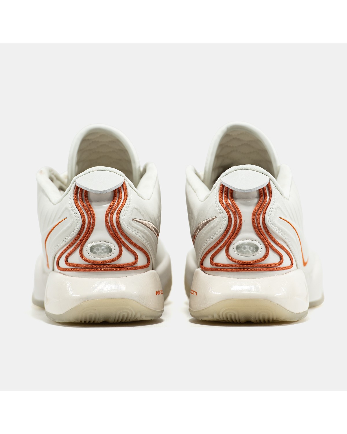 Nike LeBron 21 Akoya