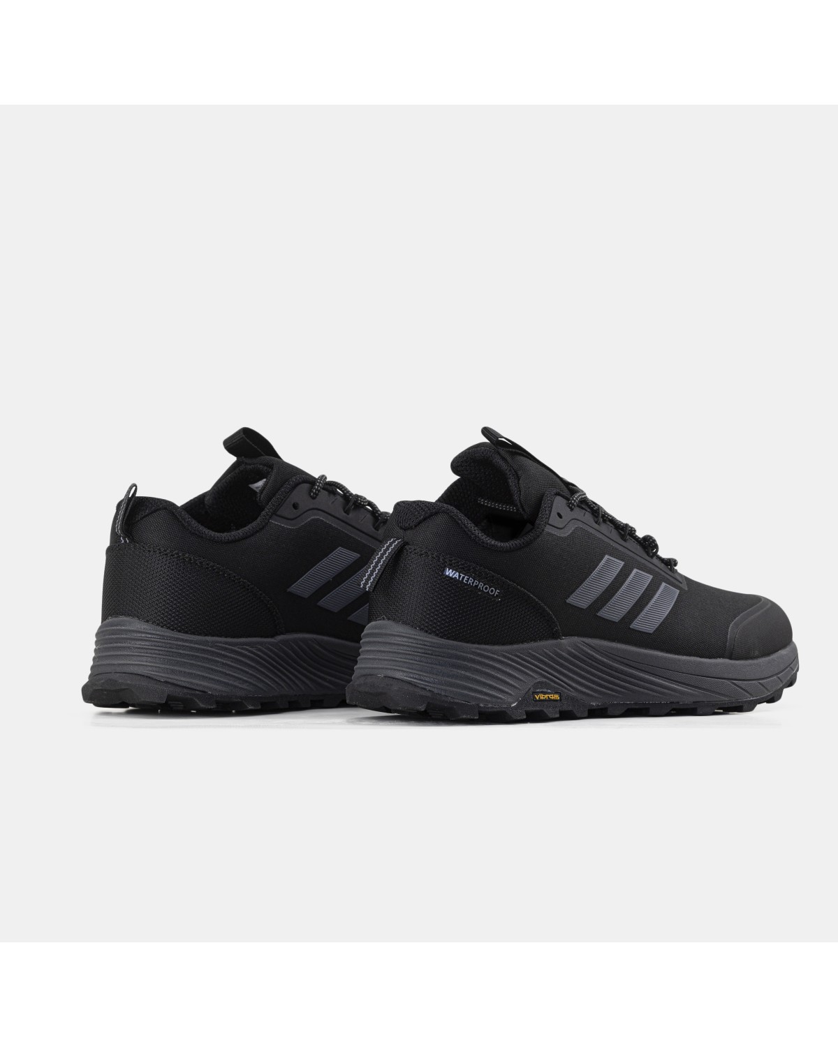 Adidas Terrex Gore-Tex