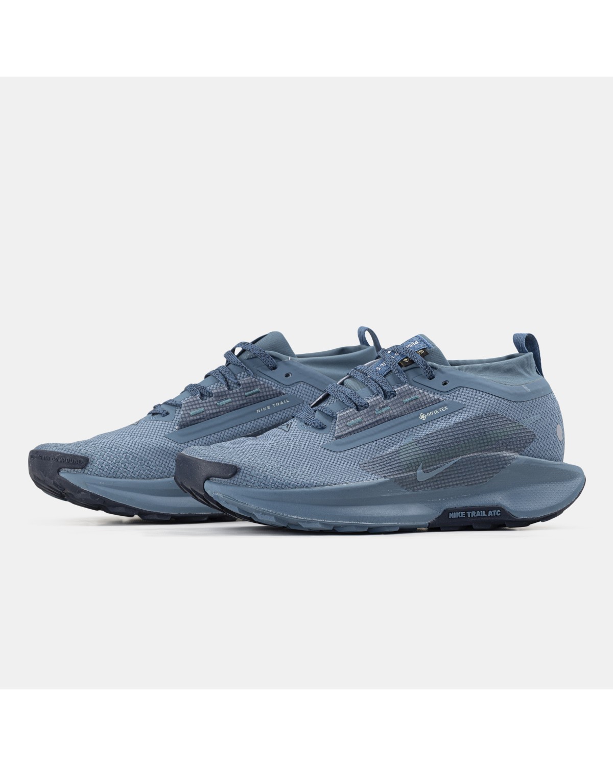 Nike Pegasus Trail 5 GTX Gore-Tex Blue