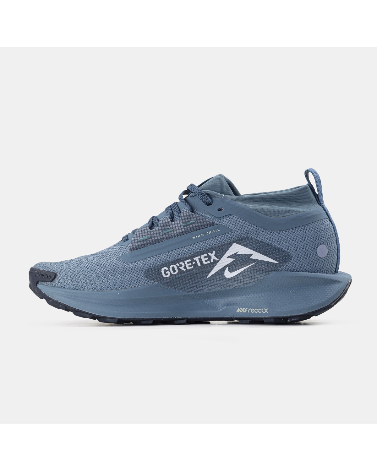 Nike Pegasus Trail 5 GTX Gore-Tex Blue