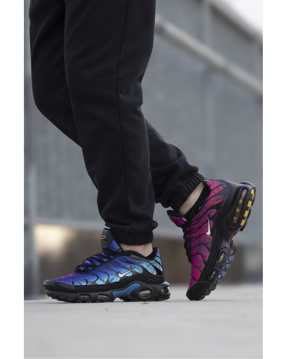 Nike Air Max TN Plus Blue Red Black