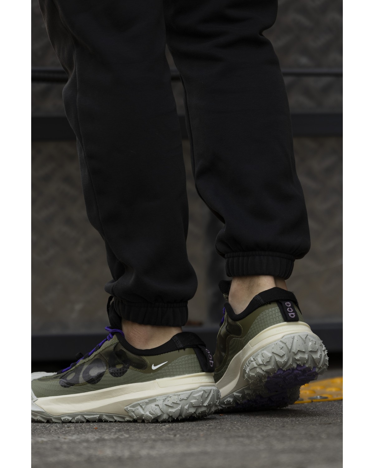 Nike ACG Mountain Fly 2 Low Khaki Purple