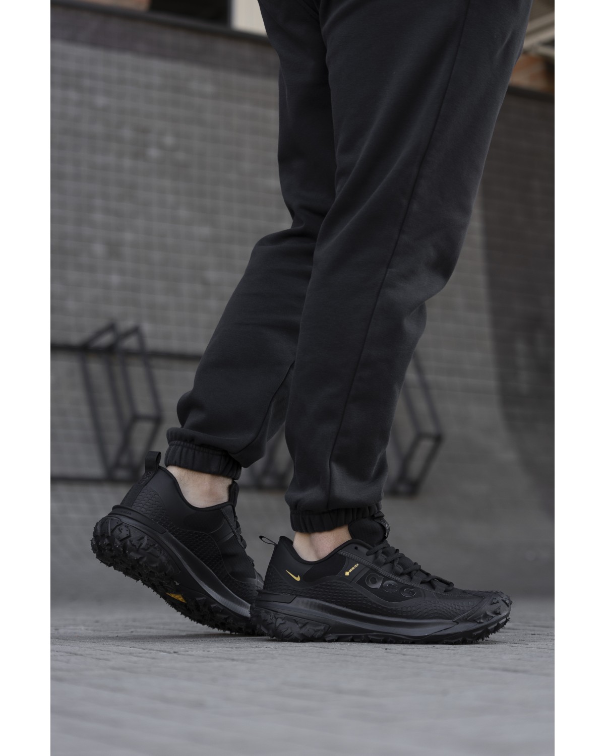 Nike ACG Mountain Fly Gore-Tex Black