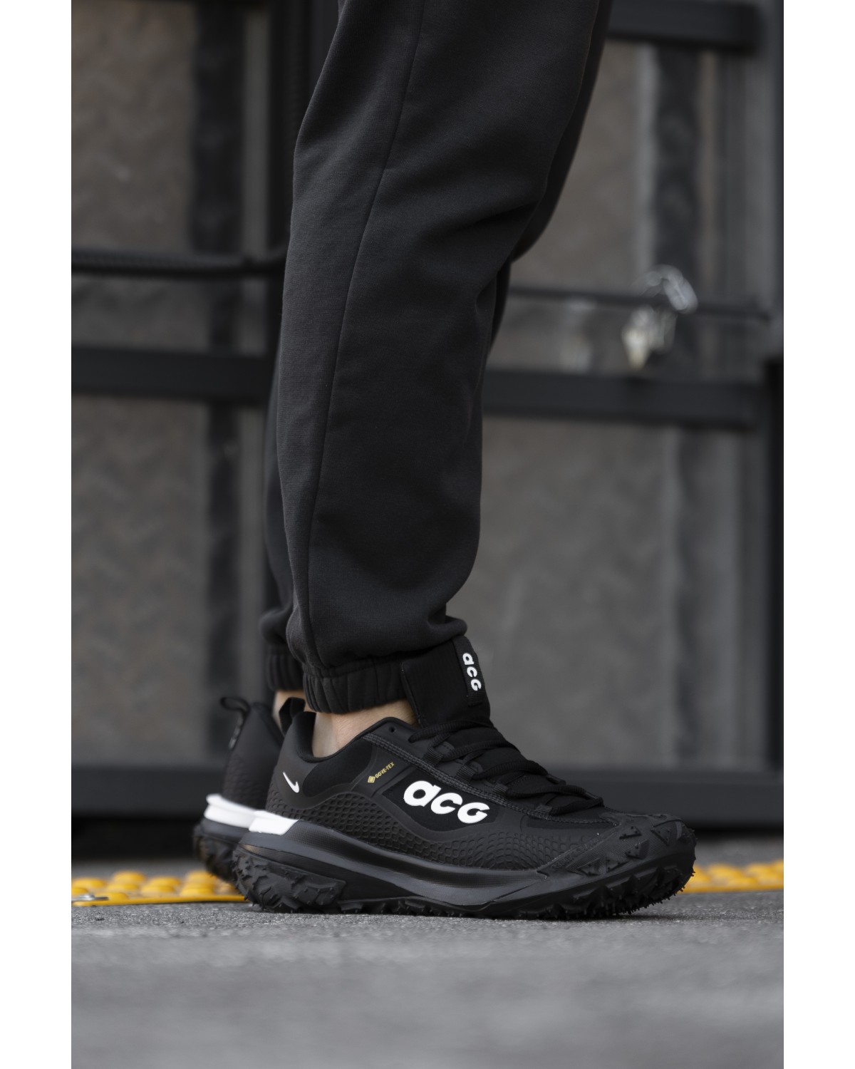 Nike ACG Moutain Fly Gore-tex Black Grey