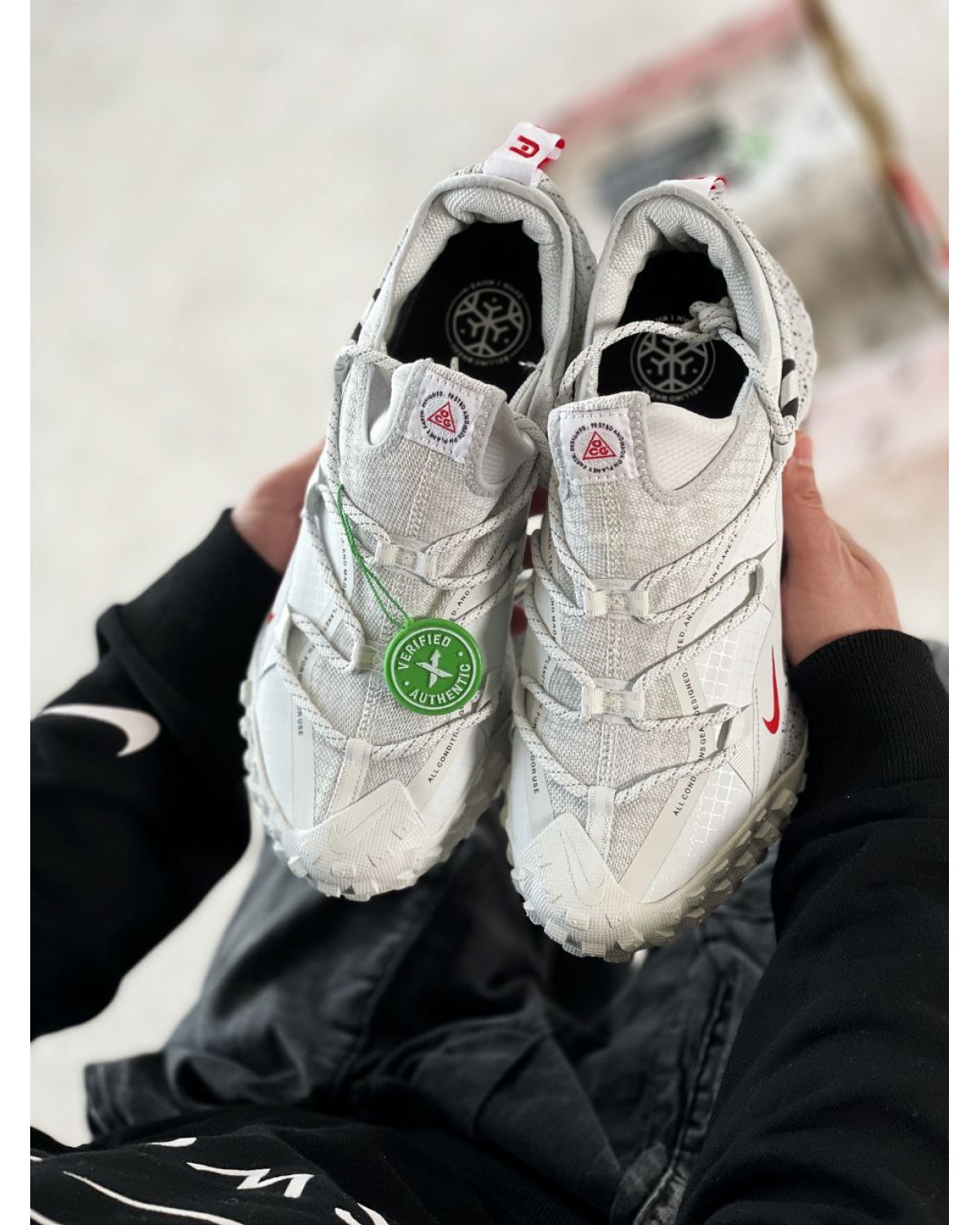 Nike ACG Mounth Low Gore-Tex Smoke Grey
