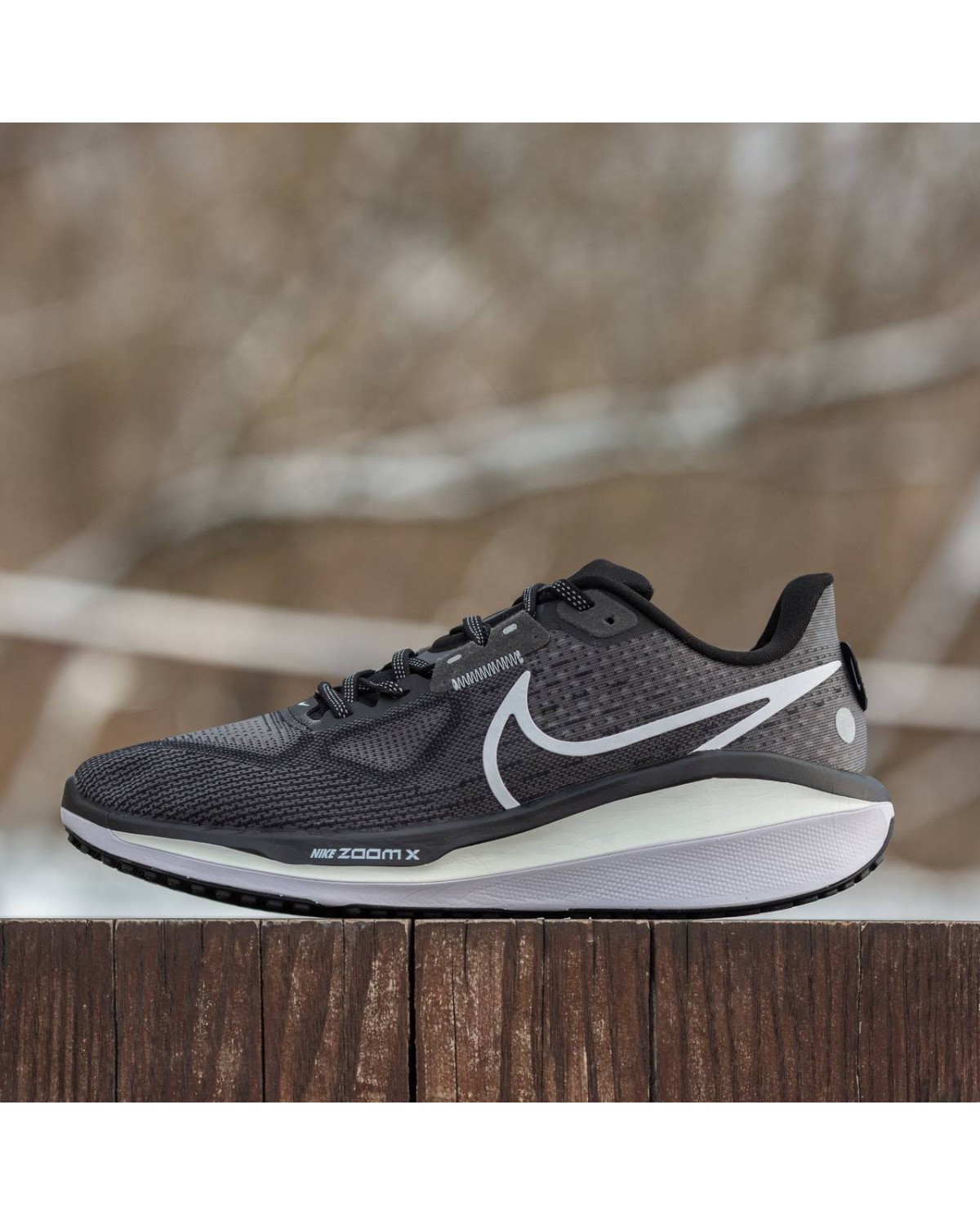 Nike Air Zoom Pegasus