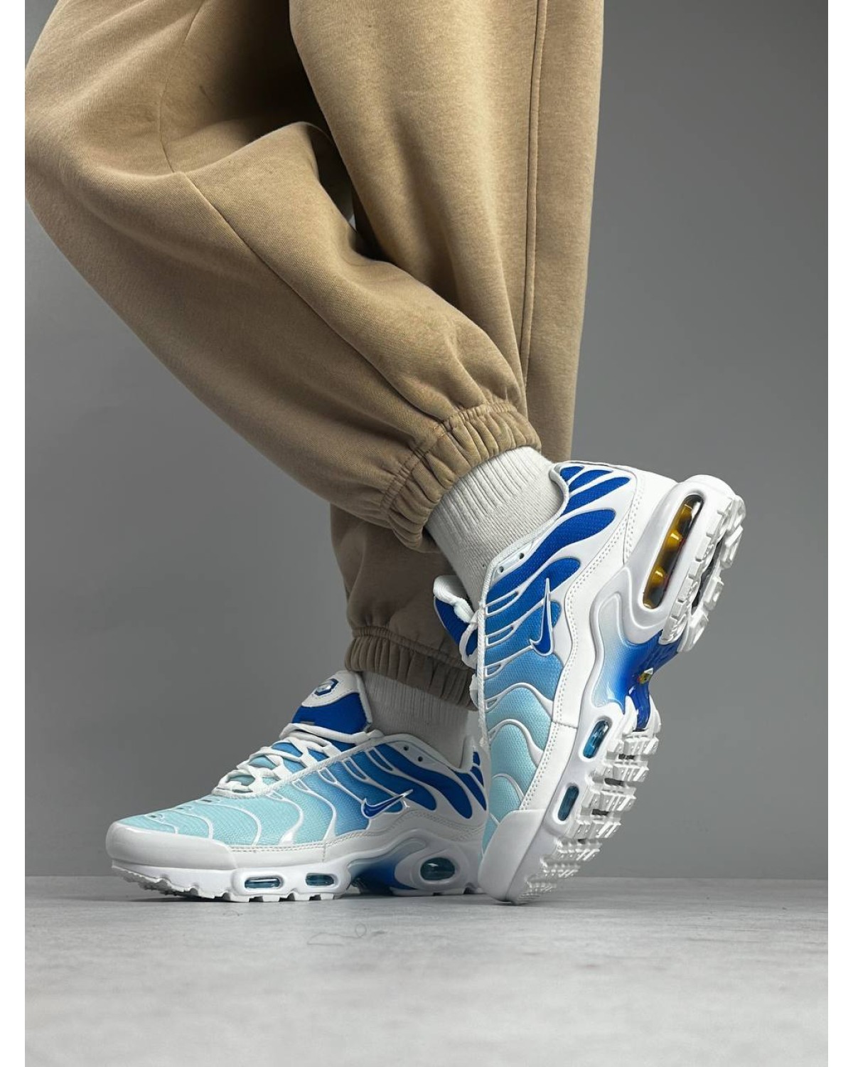 Nike Air Max Plus TN White Blue