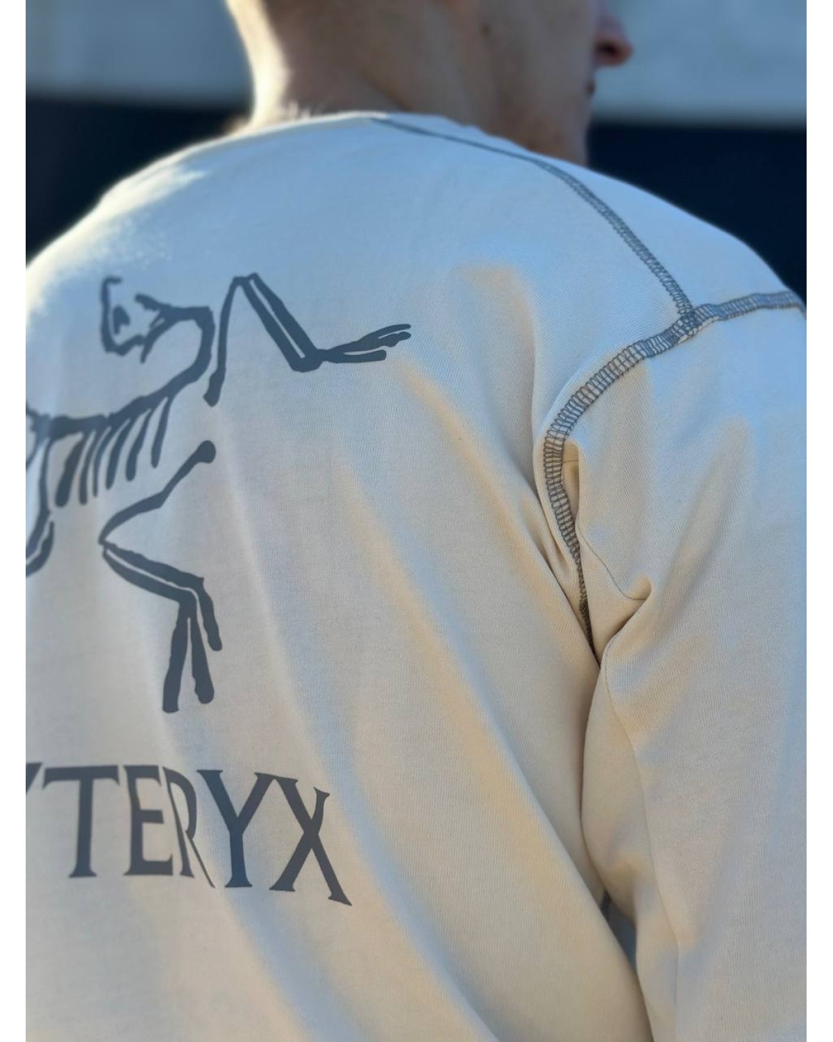 Кофта  Arcteryx