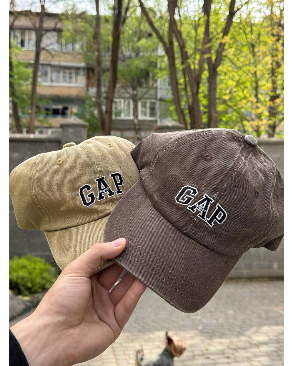 Кепка GAP