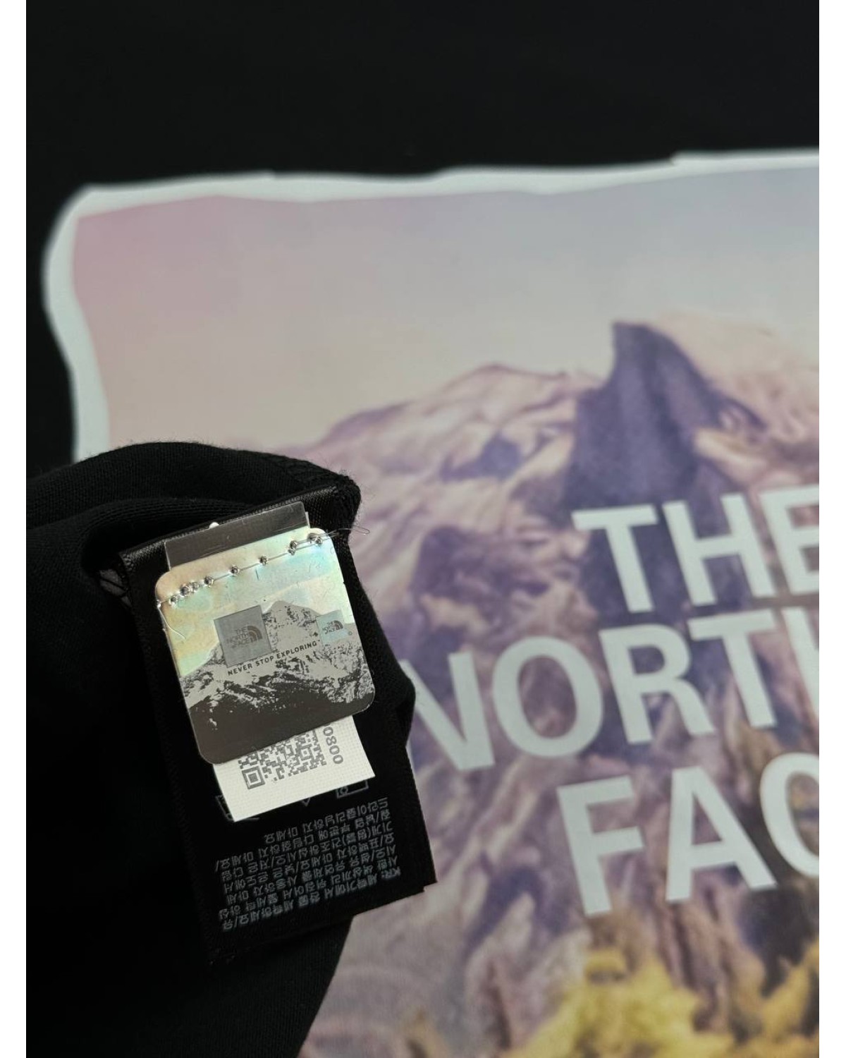 Футболка The North Face big Logo