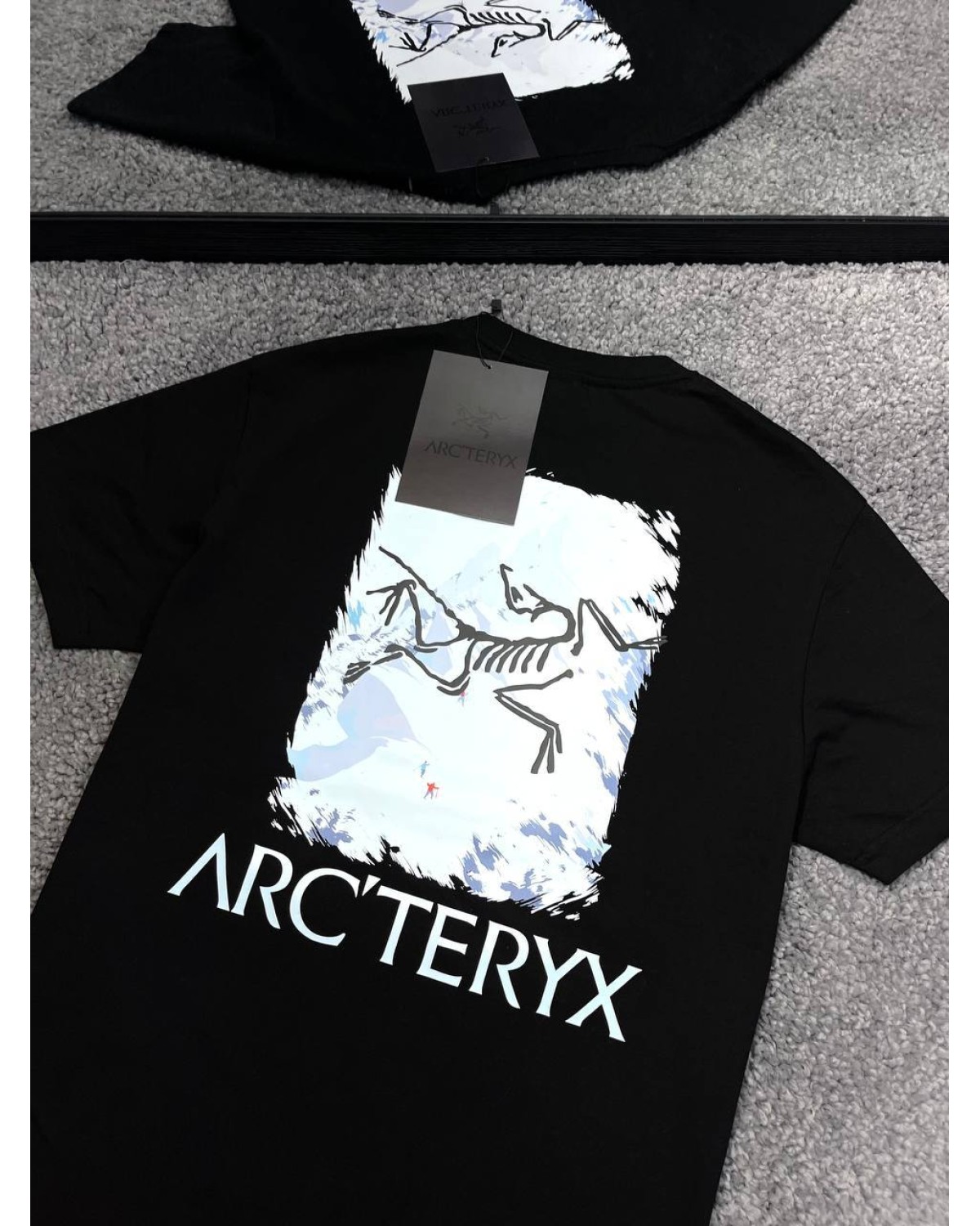 Футболка Arcteryx