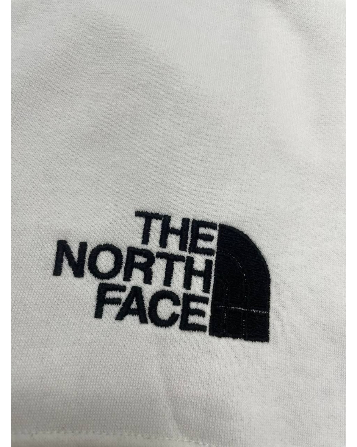 Шорти The North Face