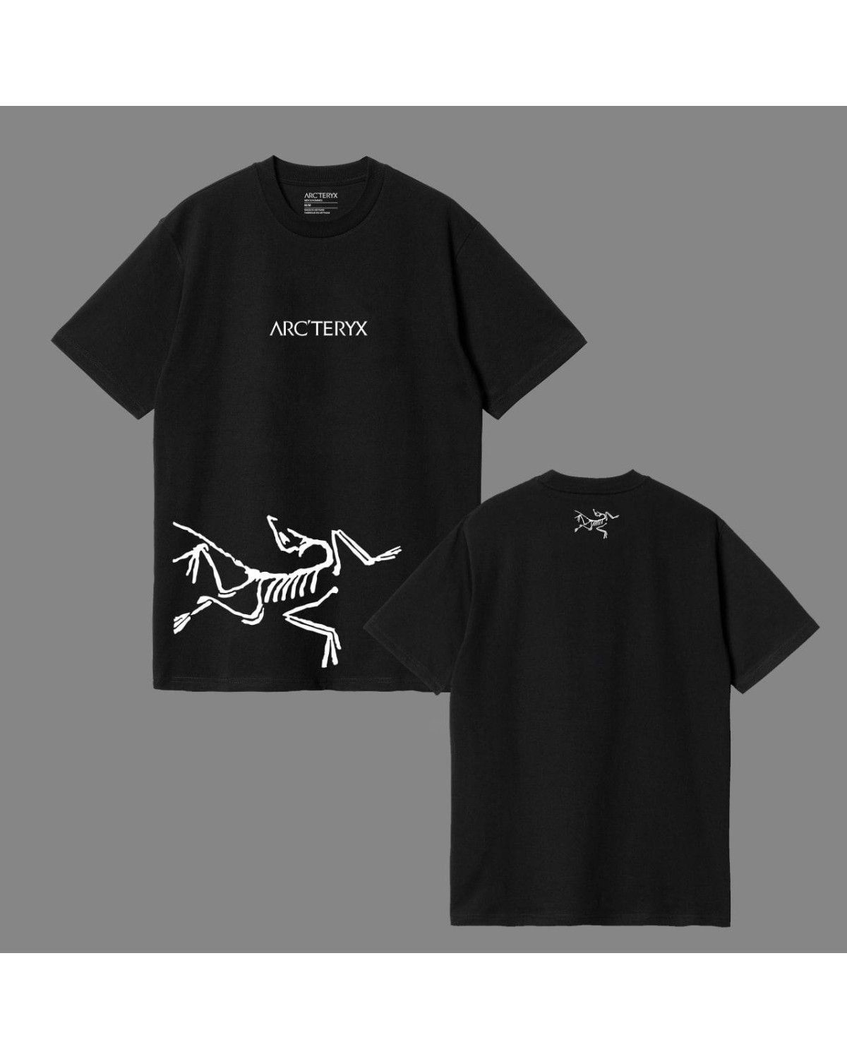 Футболка Arcteryx