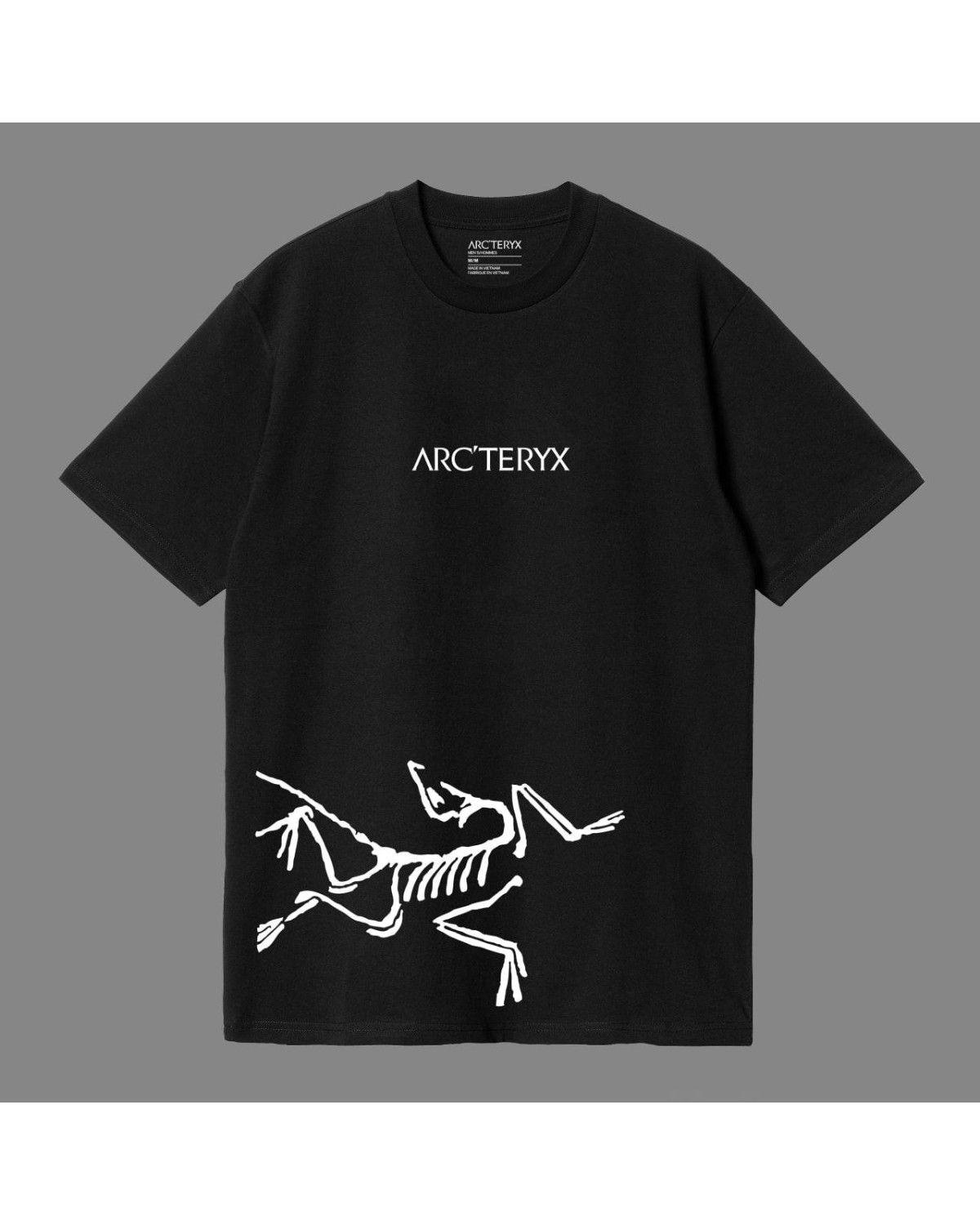 Футболка Arcteryx