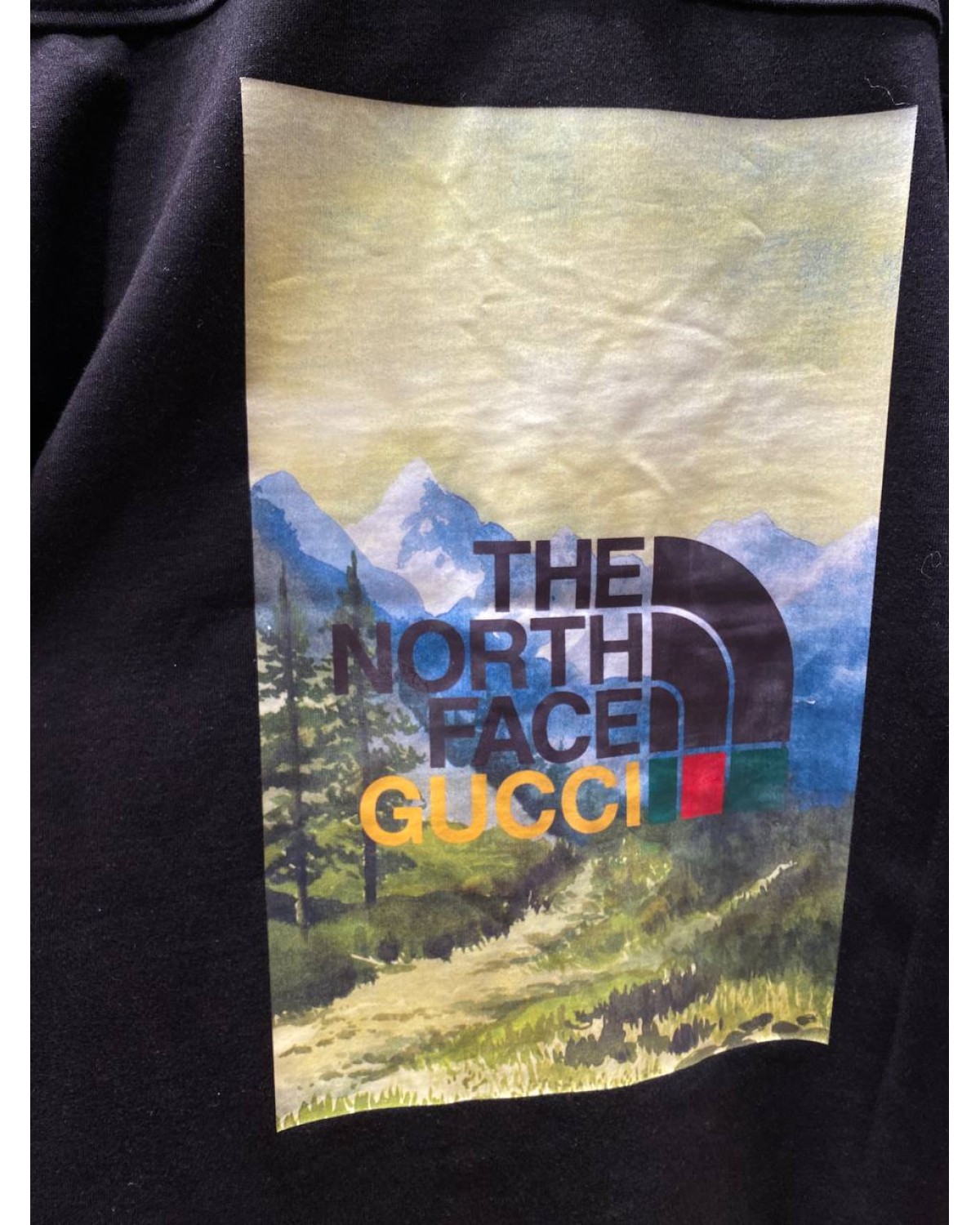 Футболка The North Face × Gucci