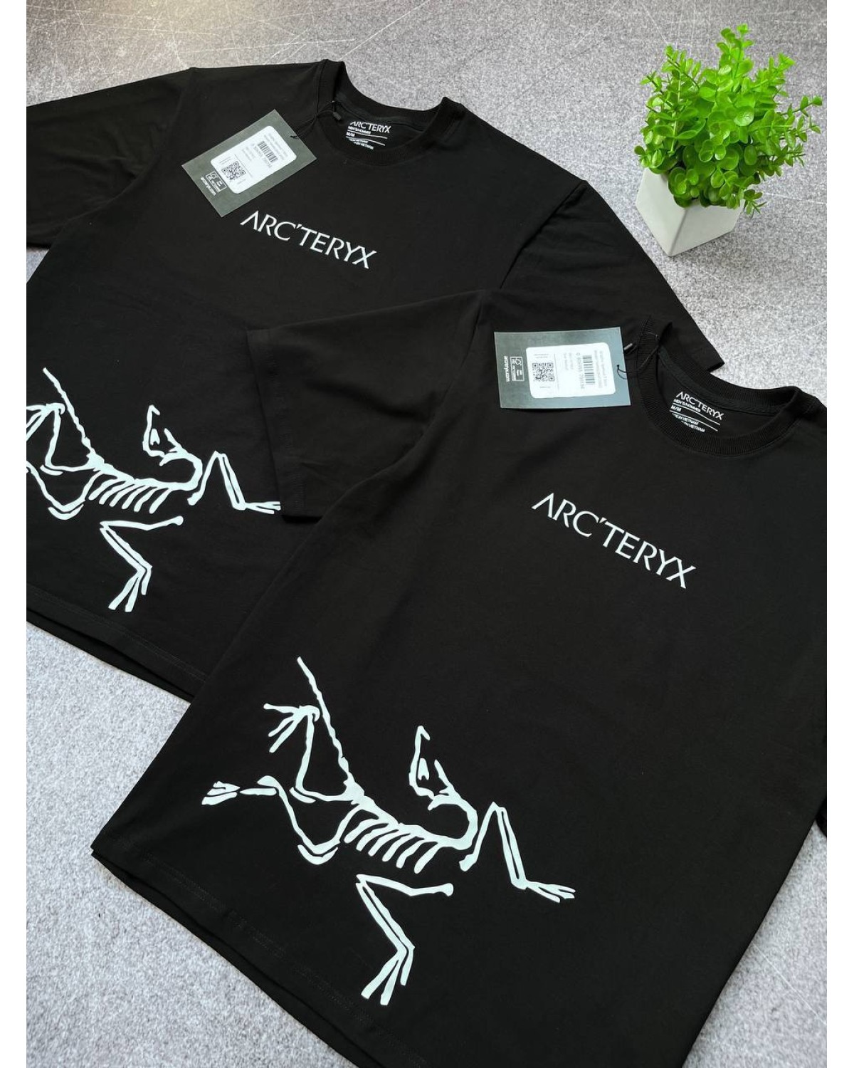 Футболка Arcteryx