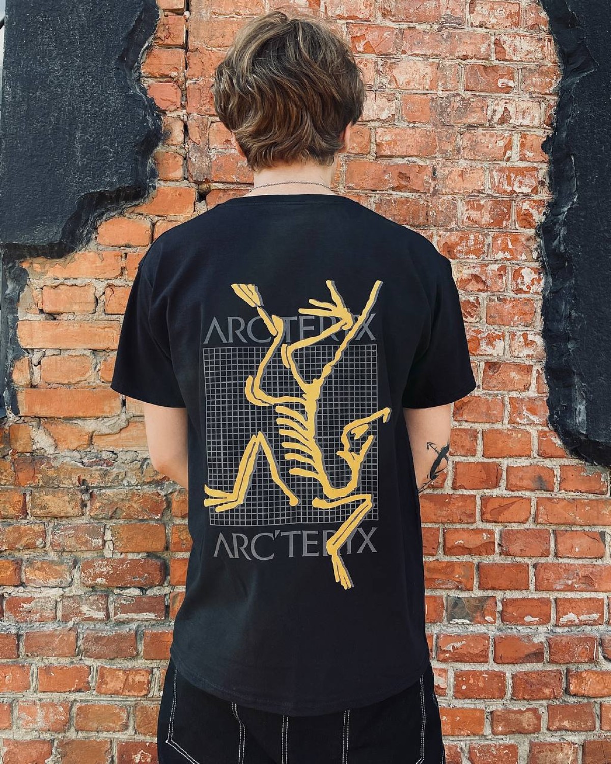 Футболка Arcteryx arc'multi bird