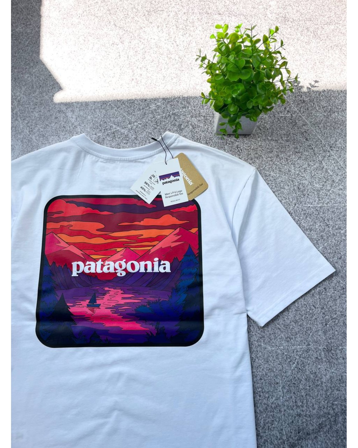 Футболка Patagonia