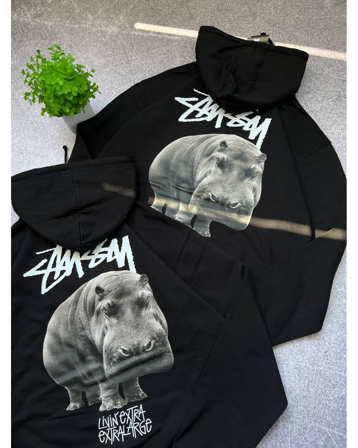 Худі Stussy