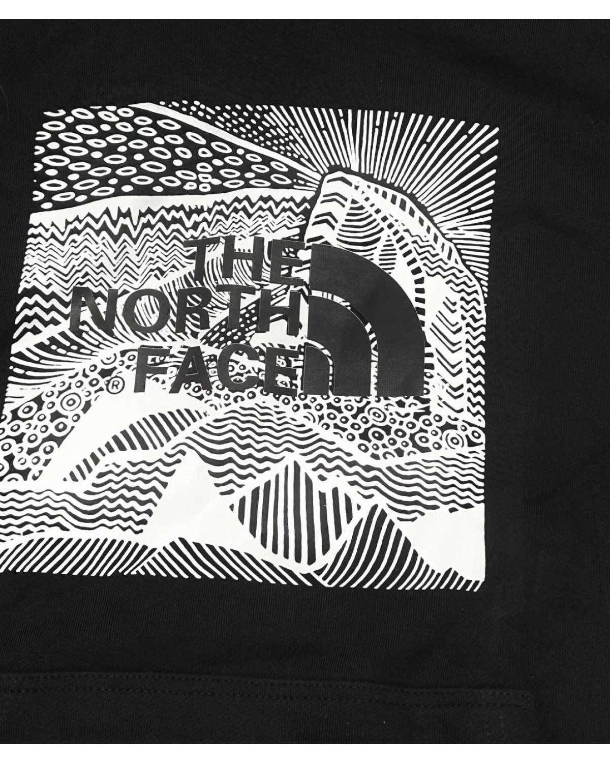 Худі The North Face