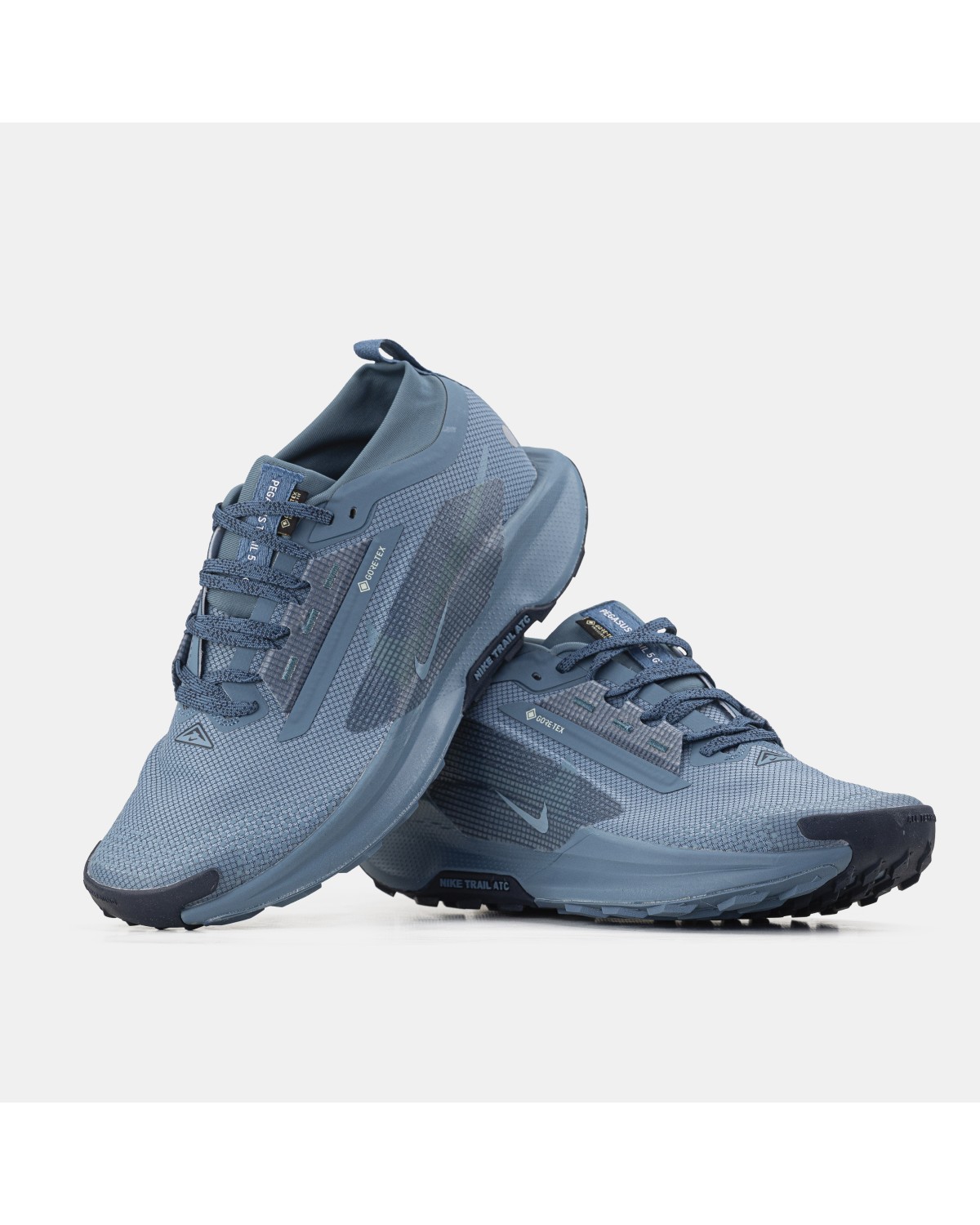 Nike Pegasus Trail 5 GTX Gore-Tex Blue
