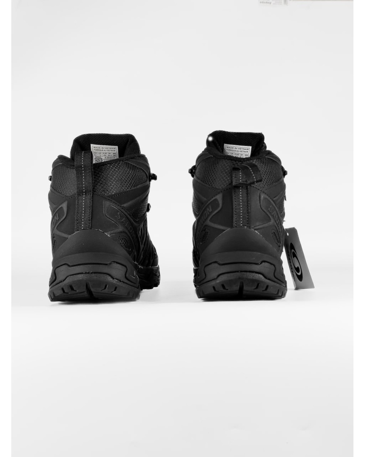 Salomon X Ultra Pioneer GTX Black Fur