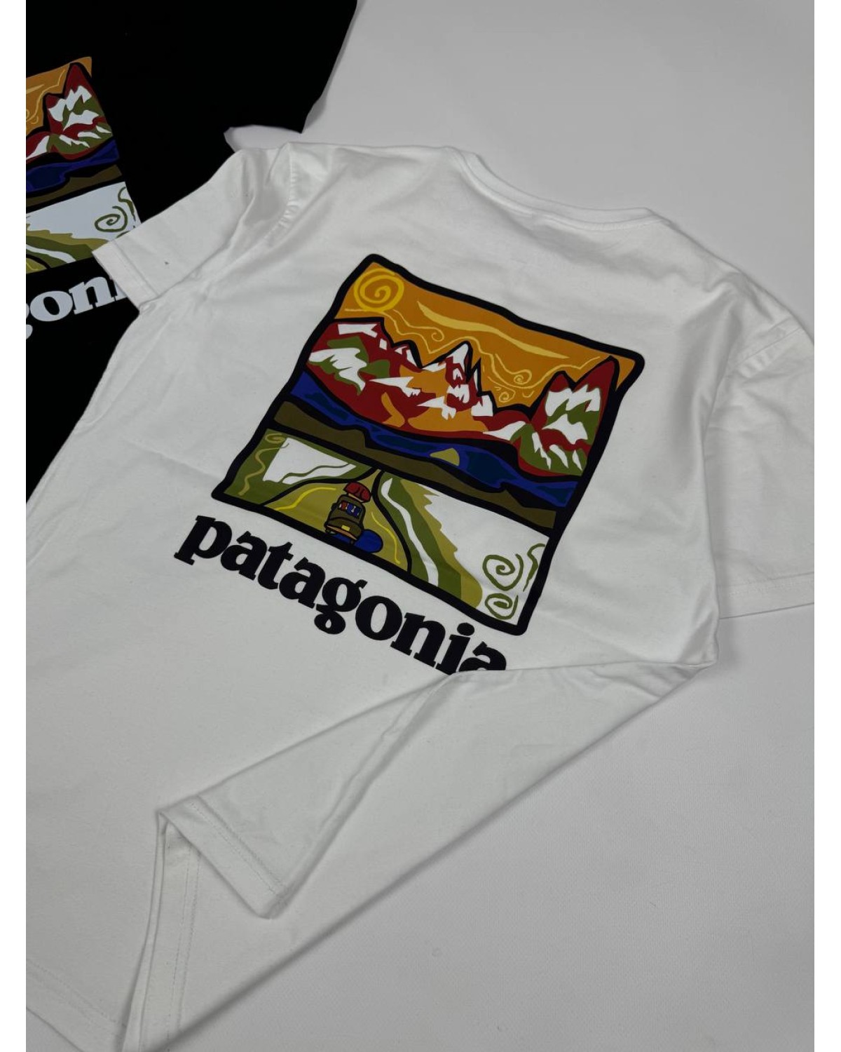 Футболка Patagonia