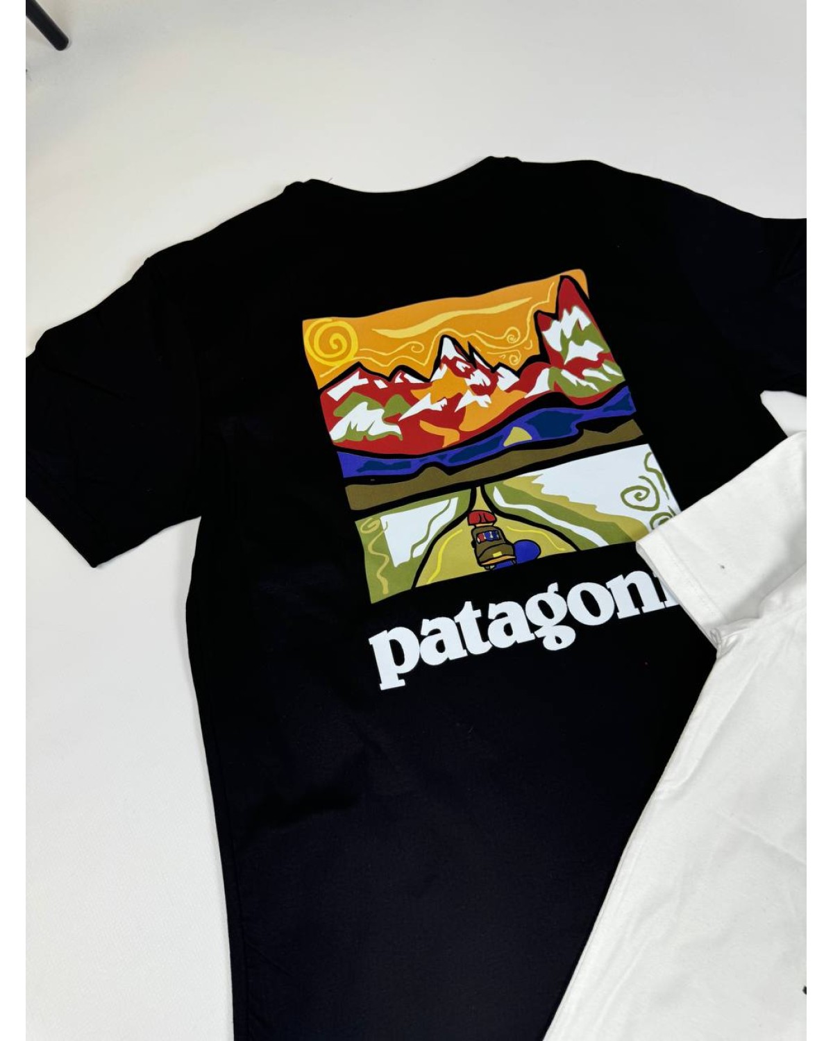 Футболка Patagonia