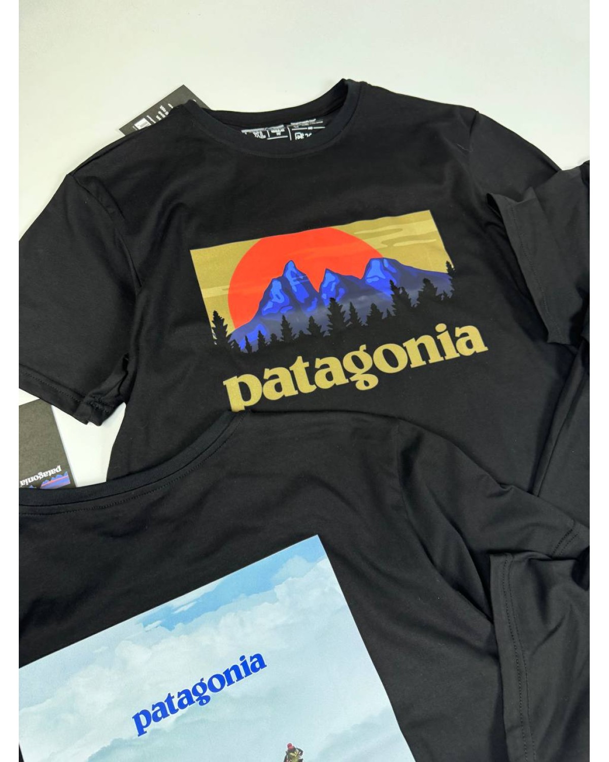 Футболка Patagonia