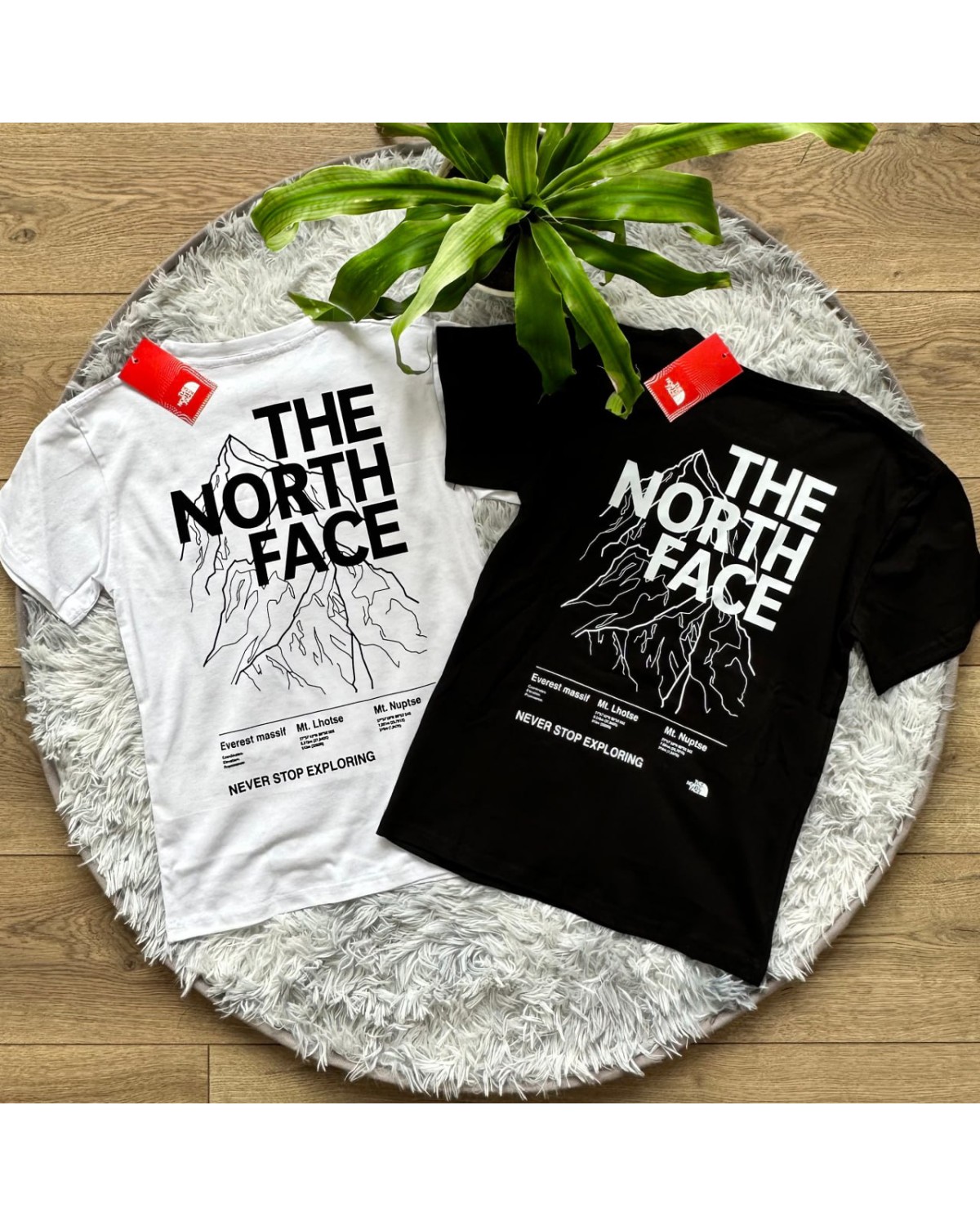 Футболка The North Face Mountains