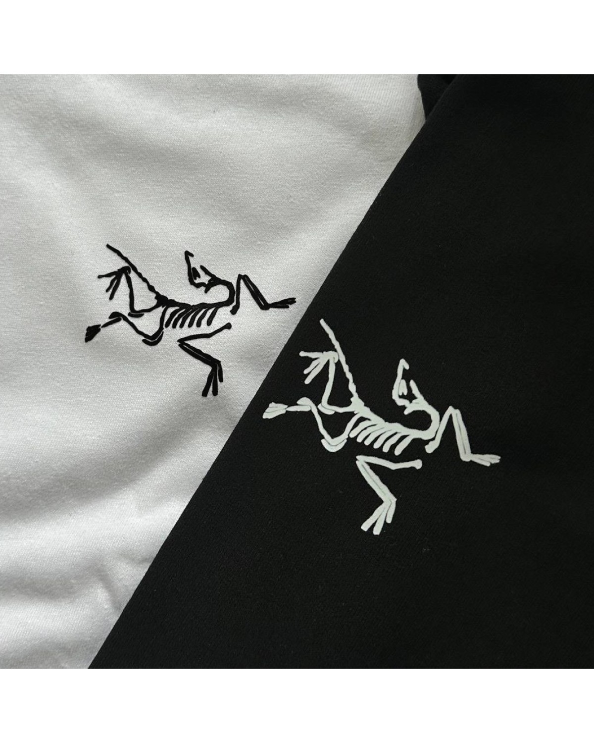 Футболка Arcteryx Norvan Downword logo