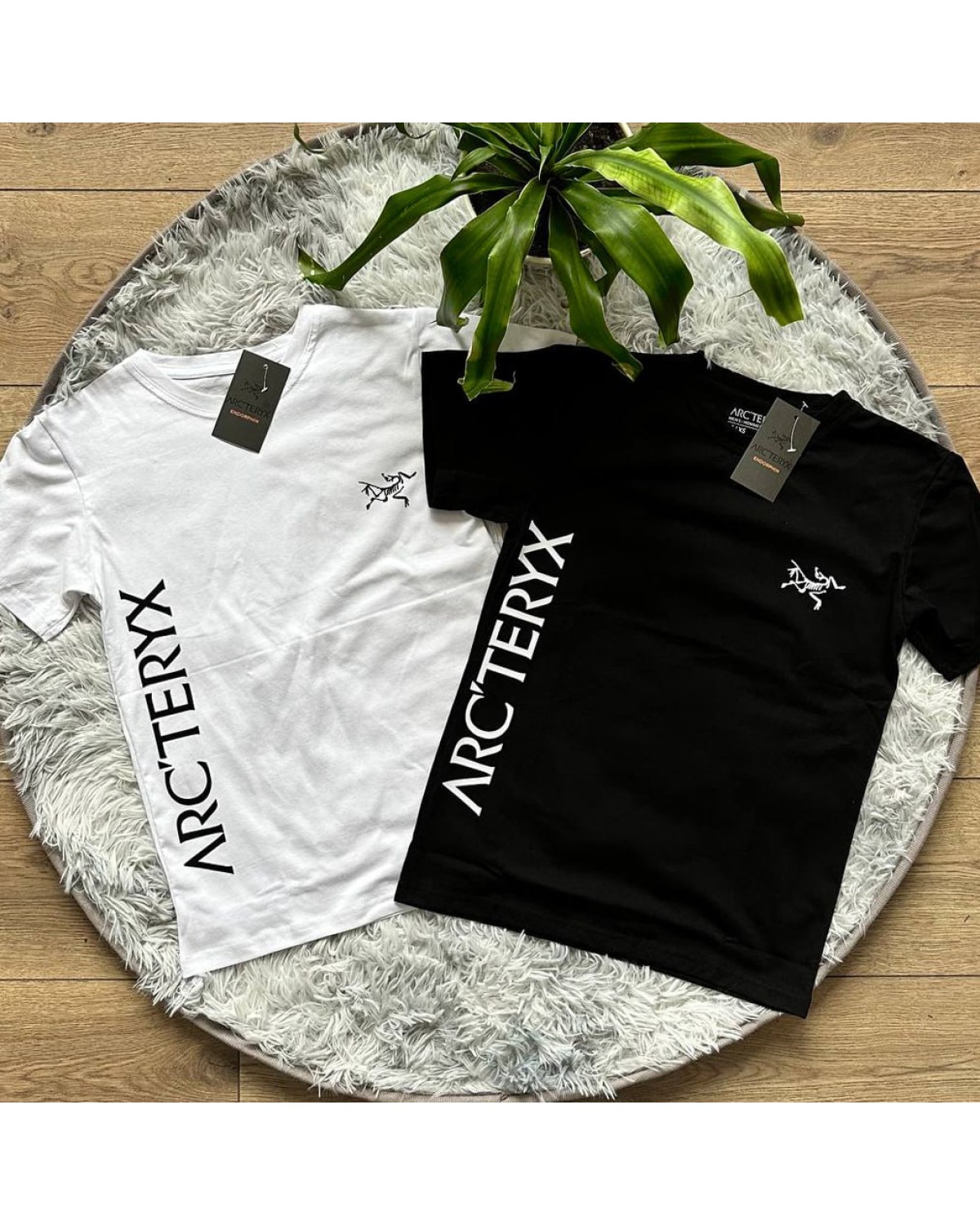 Футболка Arcteryx Norvan Downword logo