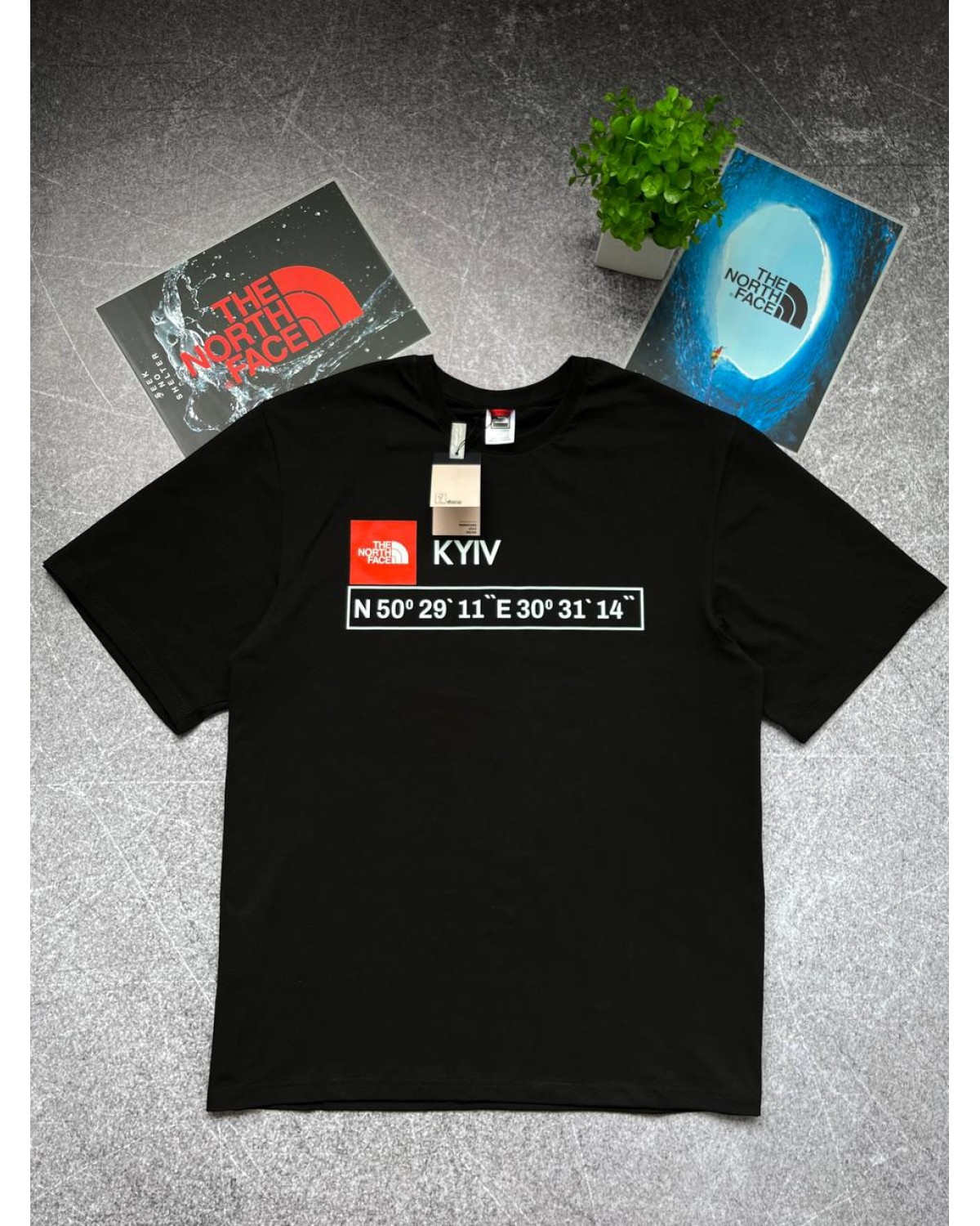 Футболка The North Face