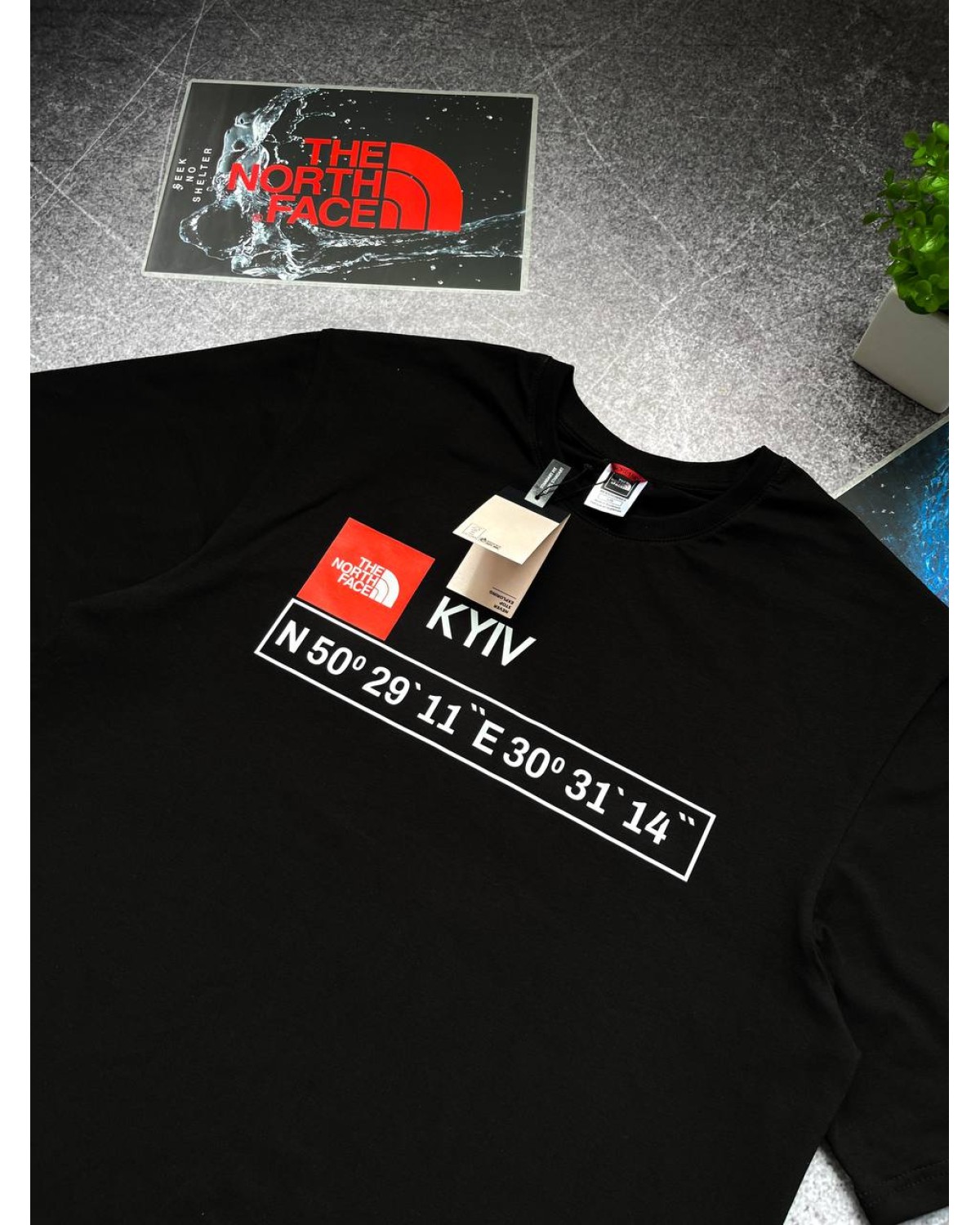 Футболка The North Face