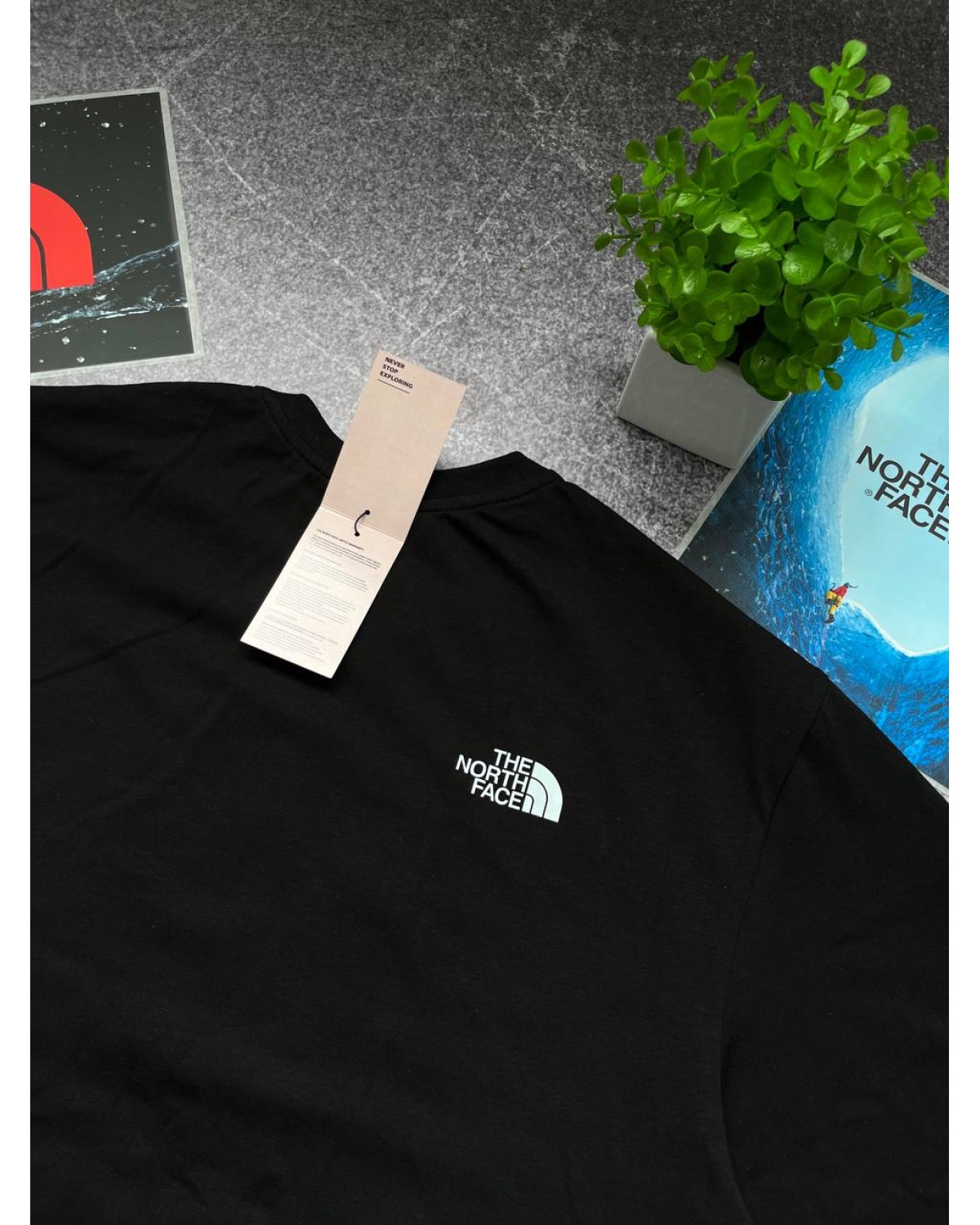 Футболка The North Face