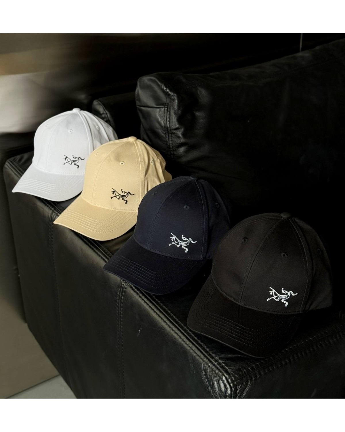Кепка Arcteryx