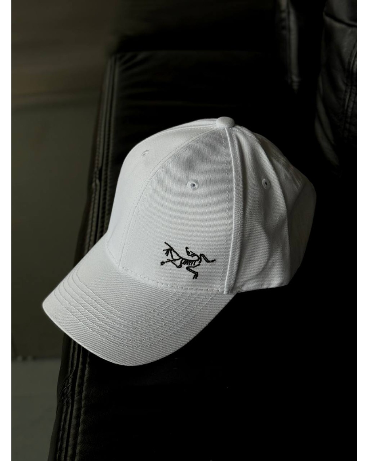 Кепка Arcteryx