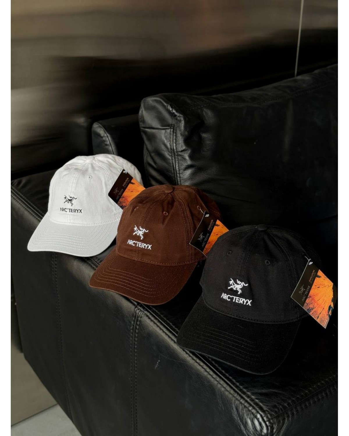 Кепка Arcteryx