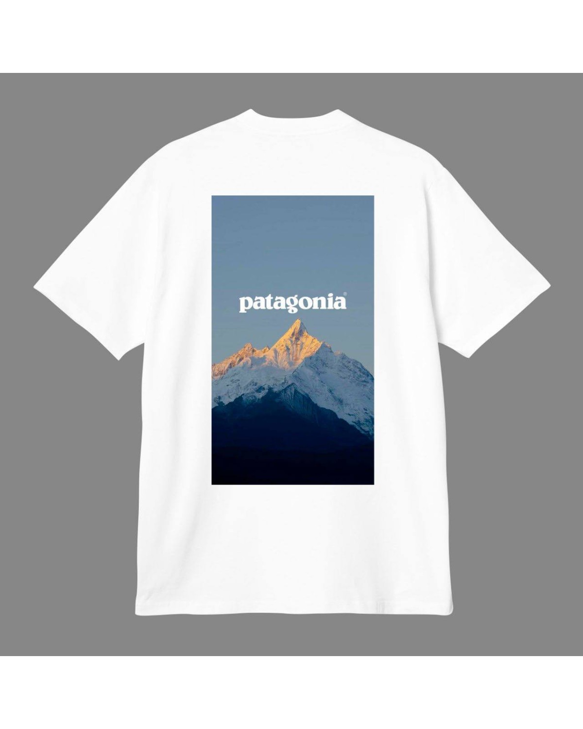 Футболка Patagonia