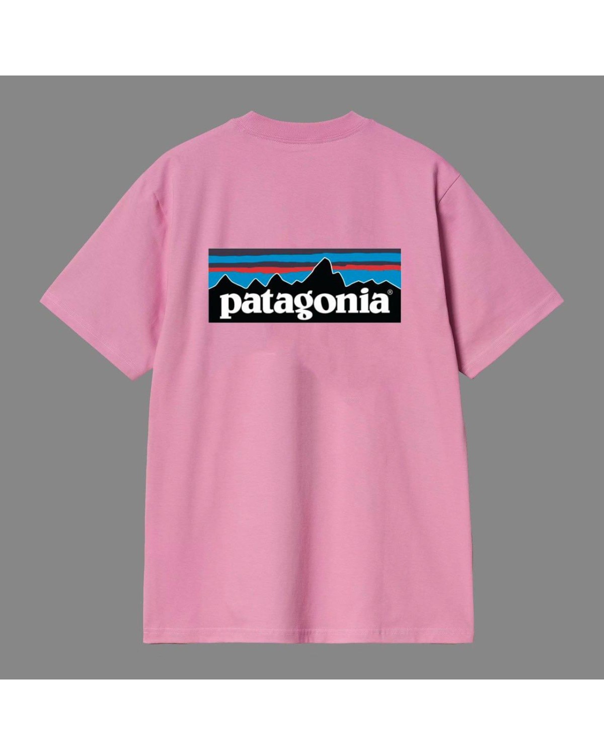 Футболка Patagonia