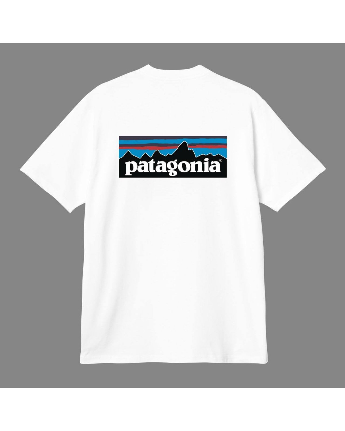 Футболка Patagonia