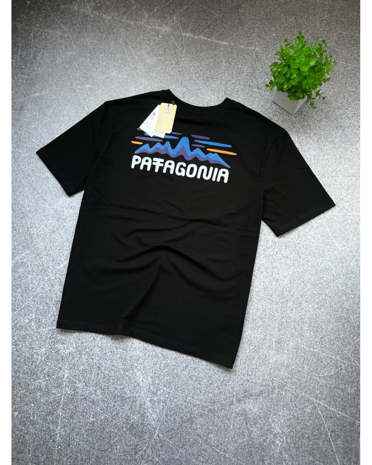 Футболка Patagonia