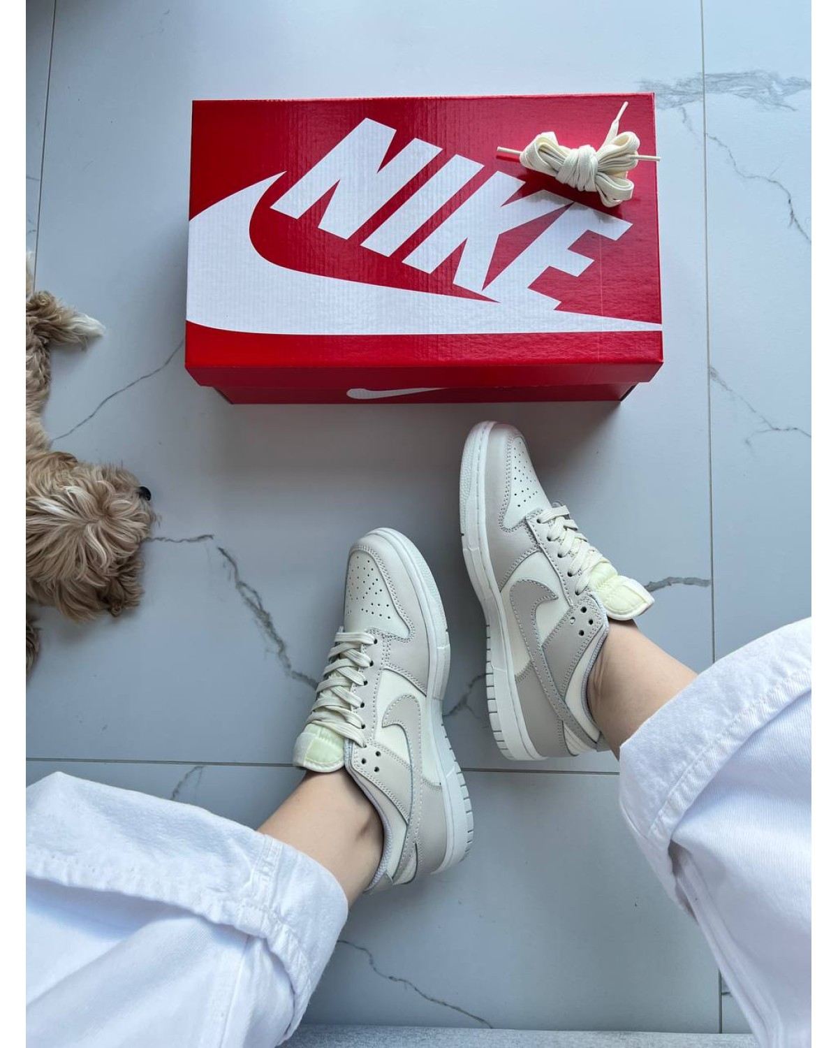 Nike Dunk Low Beige Milk