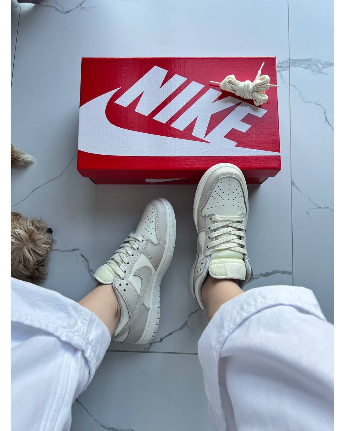 Nike Dunk Low Beige Milk