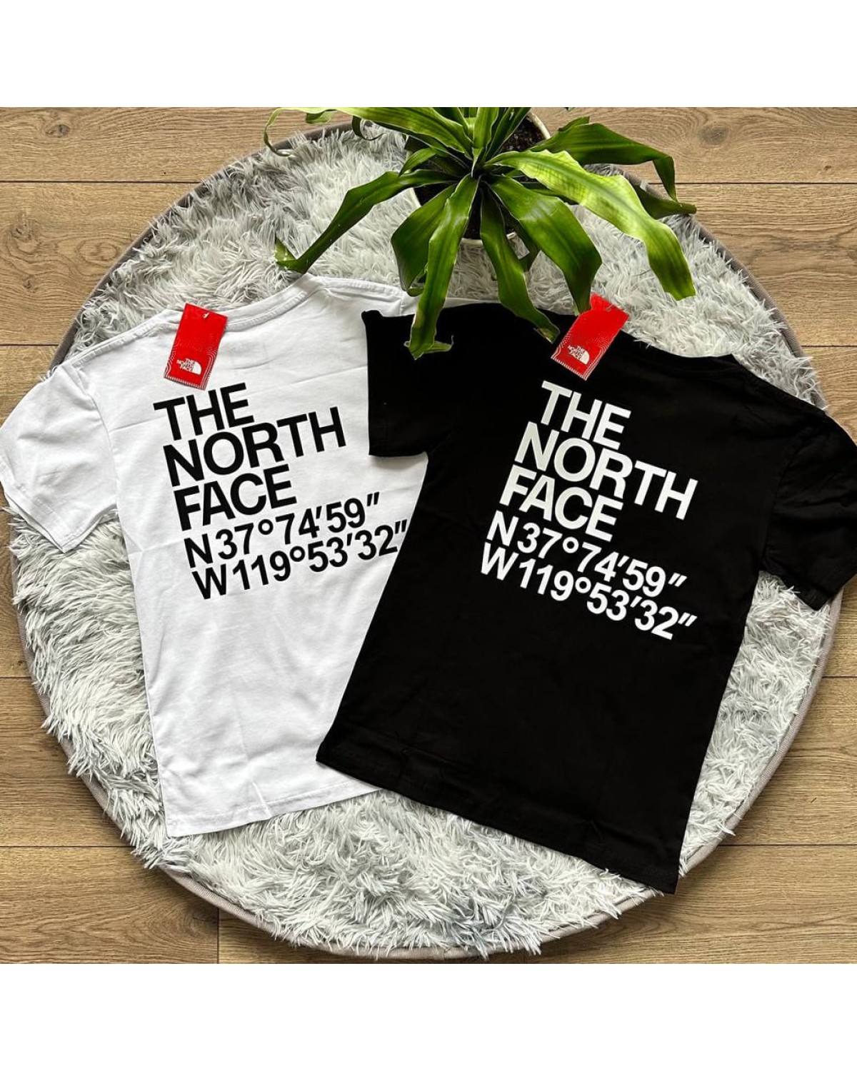 Футболка The North Face