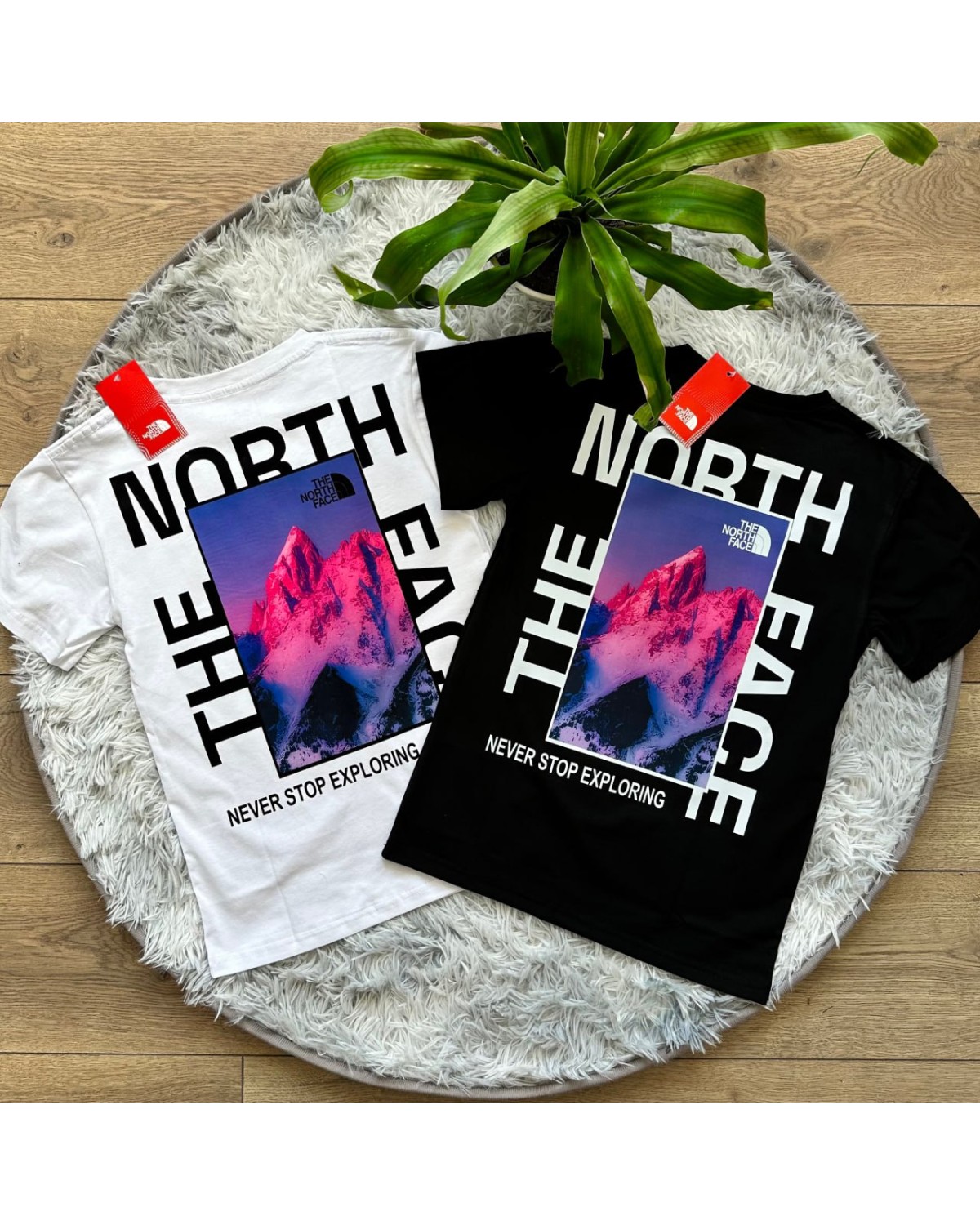 Футболка The North Face