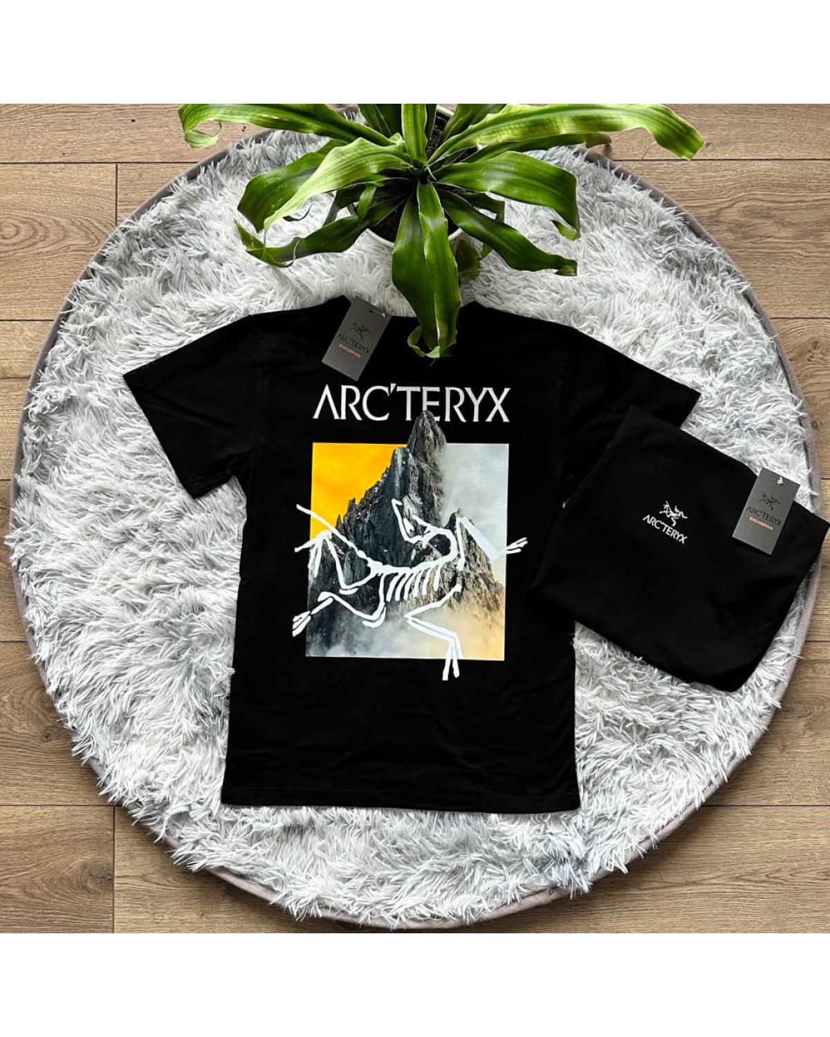 Футболка Arcteryx Orange Mountains