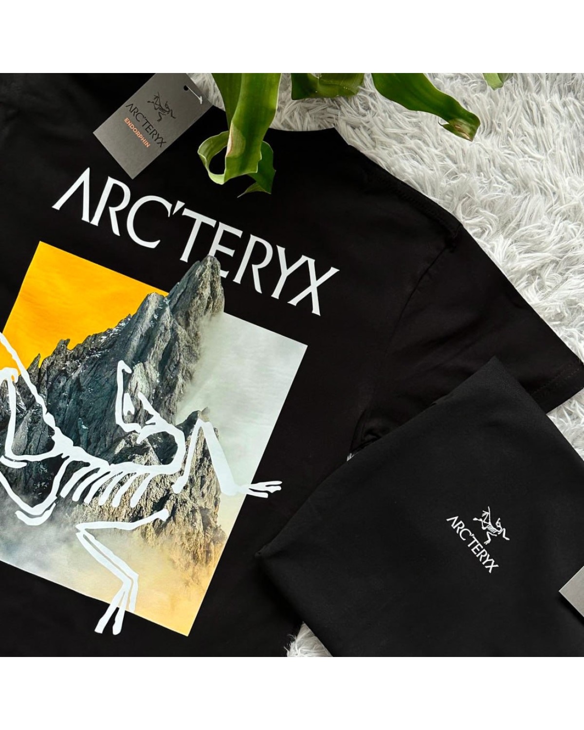 Футболка Arcteryx Orange Mountains
